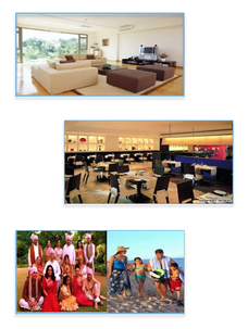 Lsi Micro Marketing Services India, MMS.IND India , Lifestyle Affinity Class 'Established Elite', Upper Class India, Consumer Segmentation India, Income Profiling, Lifestyle Affinity Profiling, Product Purchase Affinities, Micro market segmentation India, family profiling india, 